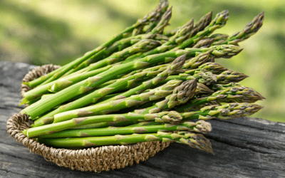 Growing Asparagus in San Antonio, Texas
