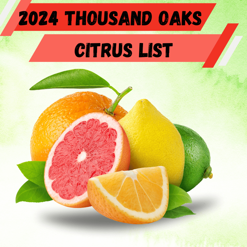 2024 Thousand Oaks Citrus List Rainbow Gardens