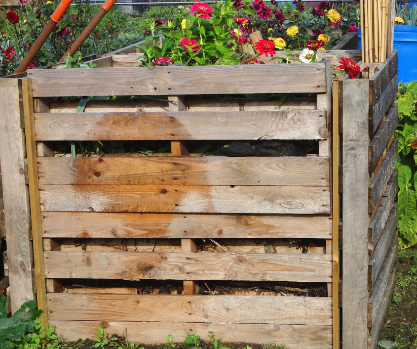 Compost Bin