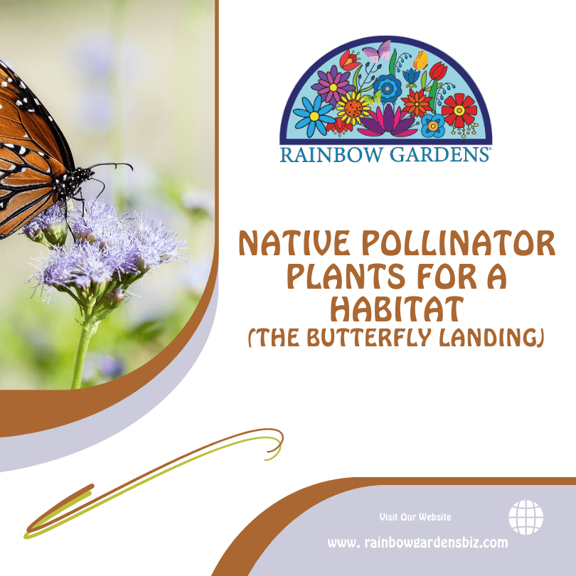 Native Pollinator Plants List