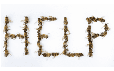 Balance: Control for Garden Pests vs. Protection for Pollinators