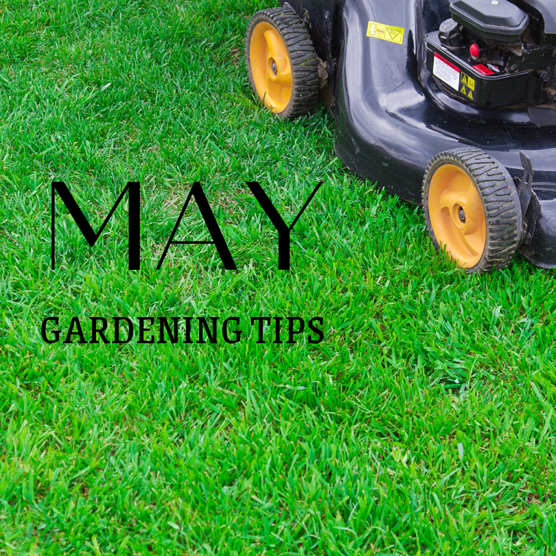 May Gardening Tips
