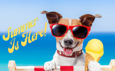 Early Summer Gardening Reminders for San Antonio