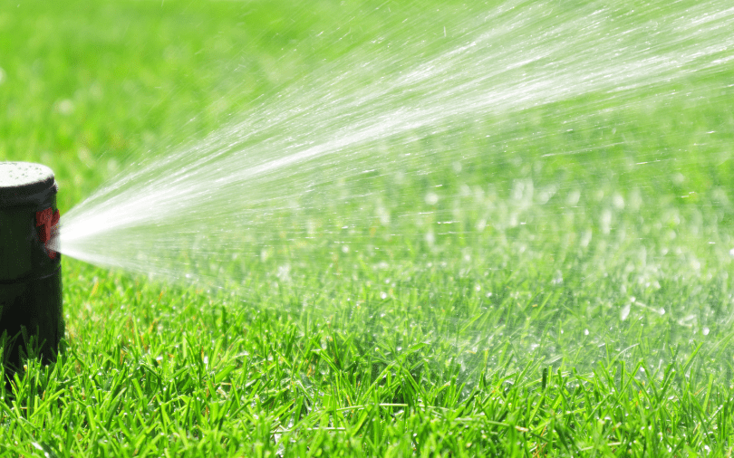 Watering in Summer in San Antonio. Yes, Another Article!