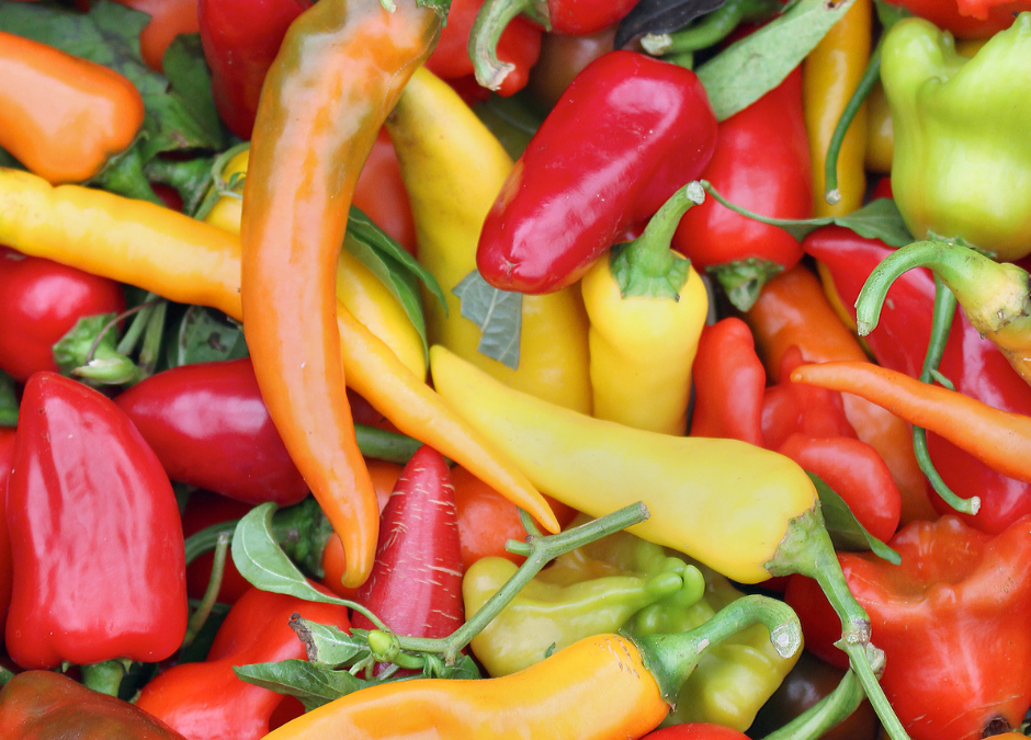 Time to Plant Peppers! Get Some Tips and Tricks.