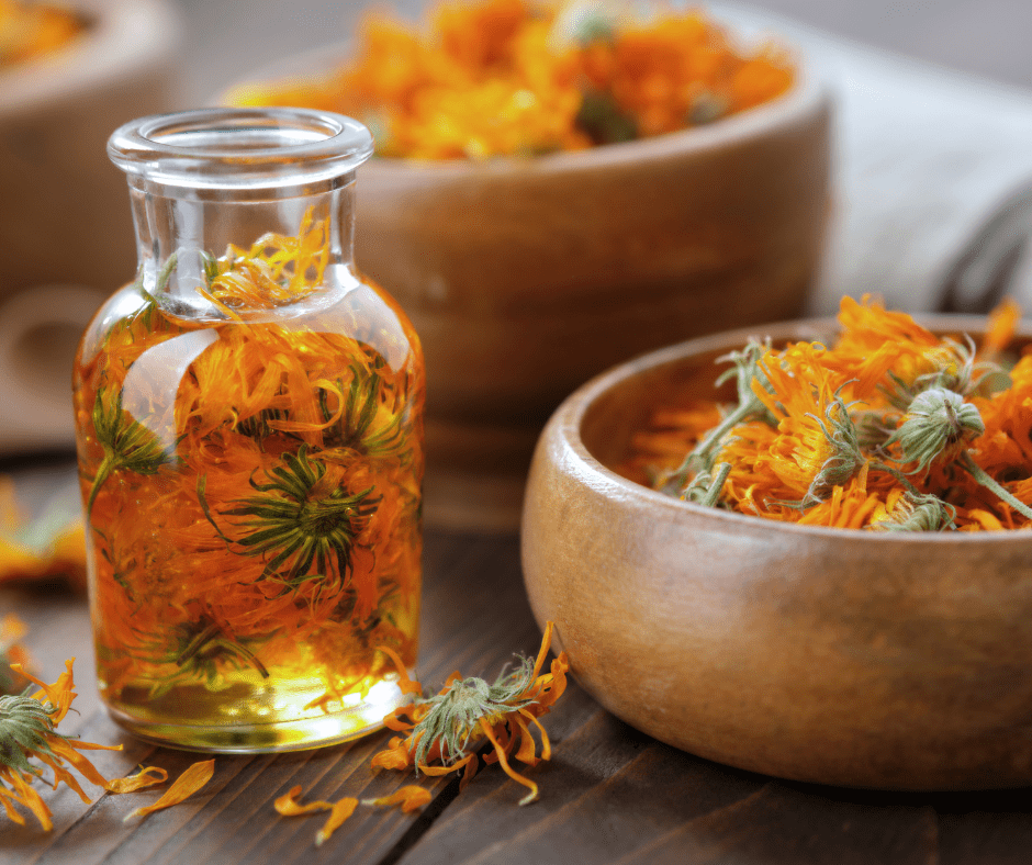 Calendula made into tea