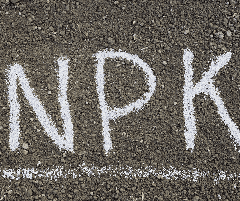 Fertilizer for vegetables.