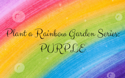 Purple: TX Fall Aster, Duranta, TX Mountain Laurel, Mona Lavender