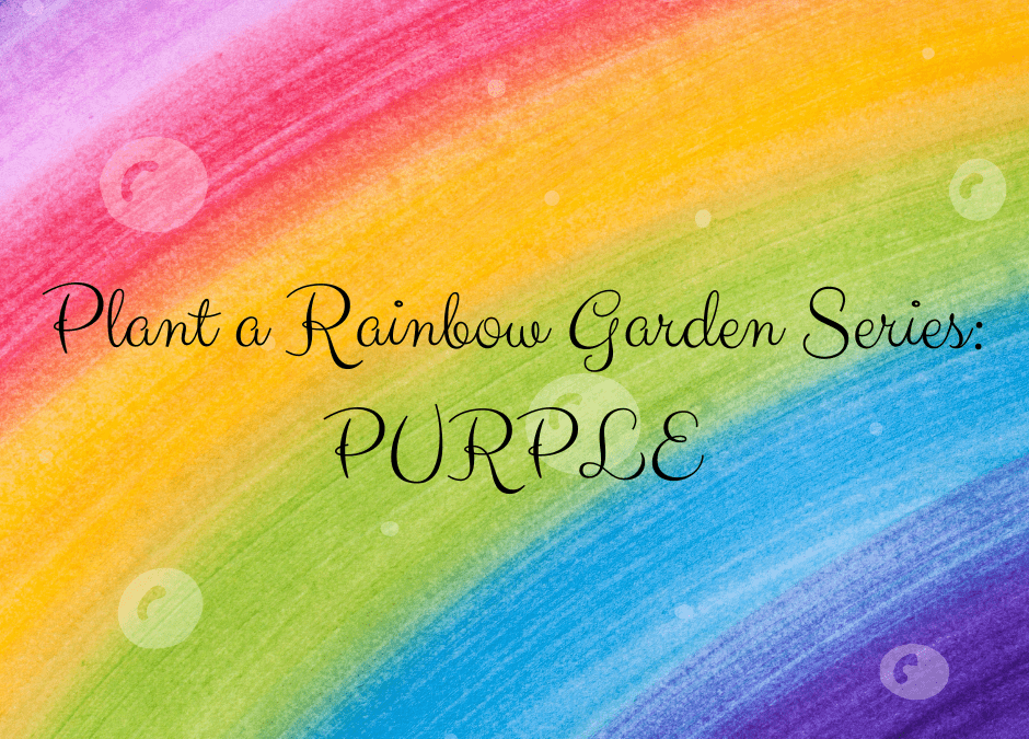 Infographic for Purple Blooming Plants