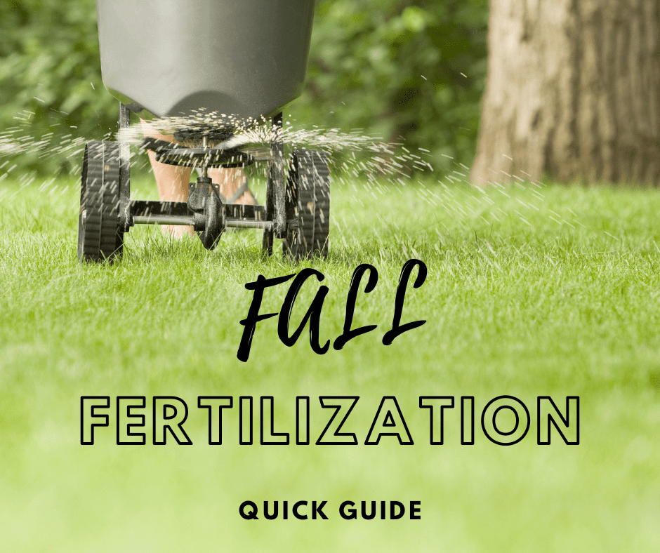 Fall fertilizer infographic