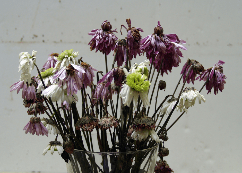 Rotten flowers and water.