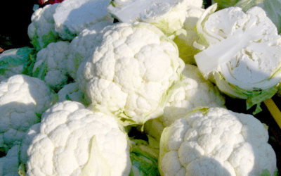 Cauliflower: Tips for Growing in San Antonio, Texas