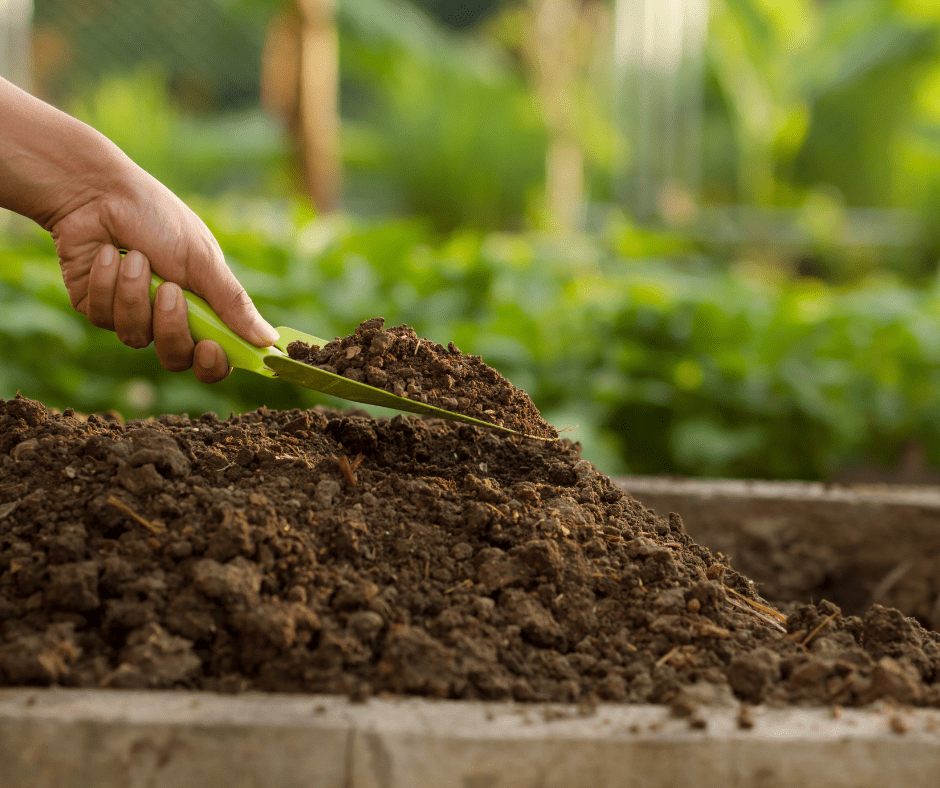 Winter is a good time to build soil in garden beds.