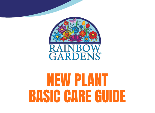 New plant care graphic