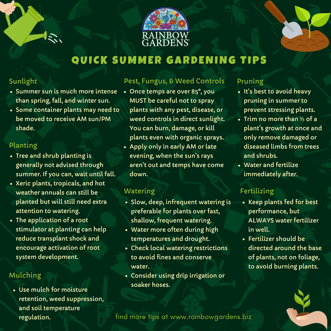 Summer Gardening Tips Graphic