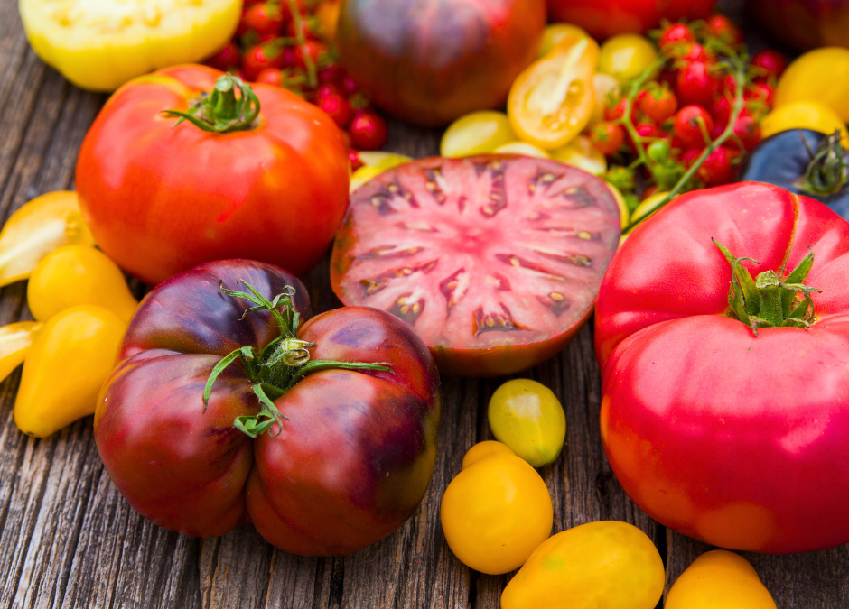 Step By Step Instructions for Saving Heirloom Tomato Seeds