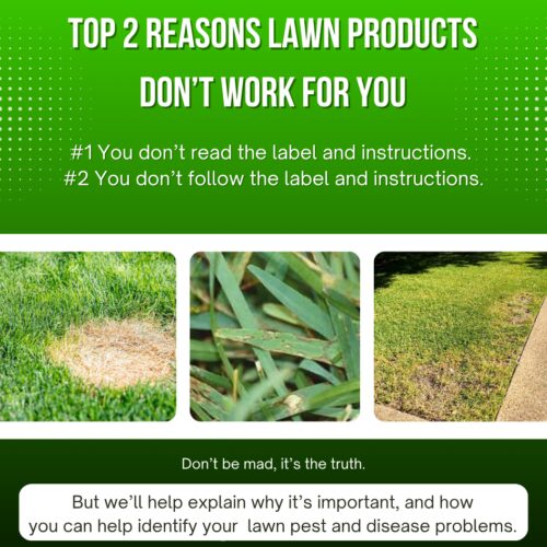 Pests and Diseases Graphic