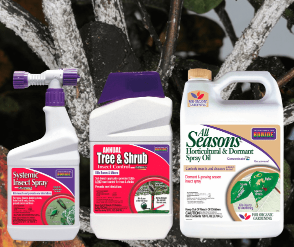 Bonide products for crape myrtle bark scale treatment.