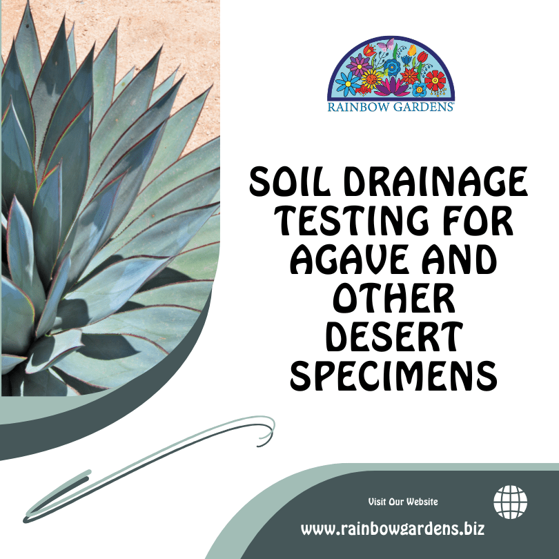 Soil Drainage for Agave Graphic