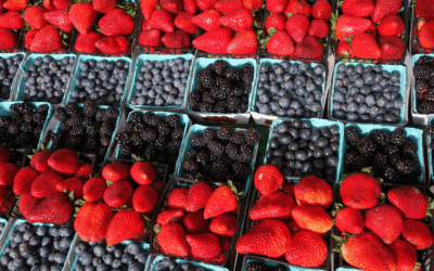 Growing Berries in San Antonio: Fall is Your Season!