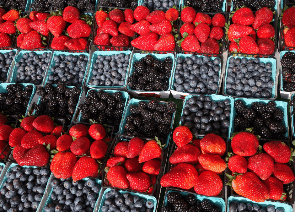 Growing Berries in San Antonio: Fall is Your Season!