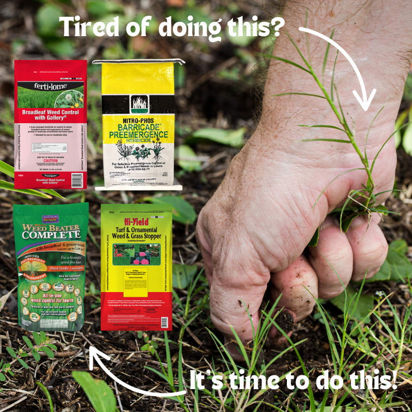 WeedBeater is a good weed pre emergent for fall and spring.