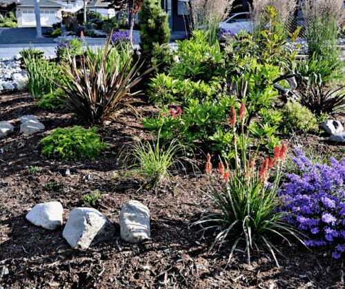 Garden that's been properly divided.