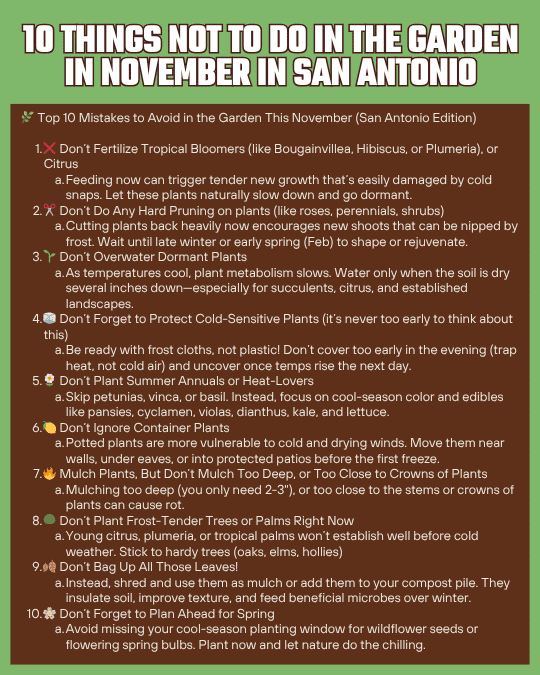A list of the top 10 things not to do in the garden in November in San Antonio.