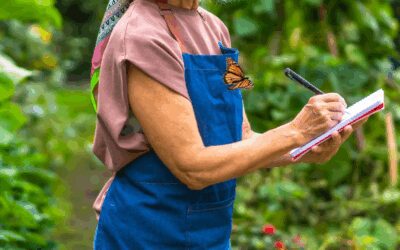 Winter is Time to Plan for a Better Spring Garden Season