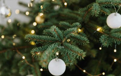 Fresh Cut Christmas Tree Care