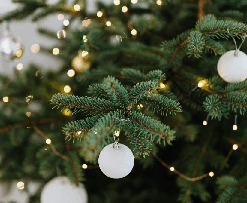 Fresh Cut Christmas Tree Care