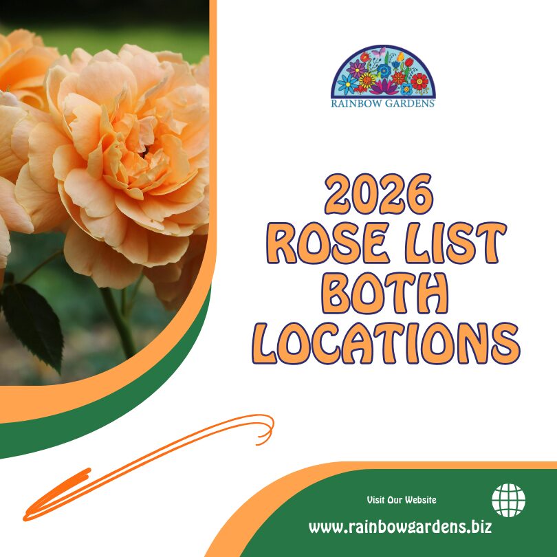 Graphic for 2026 Rose List