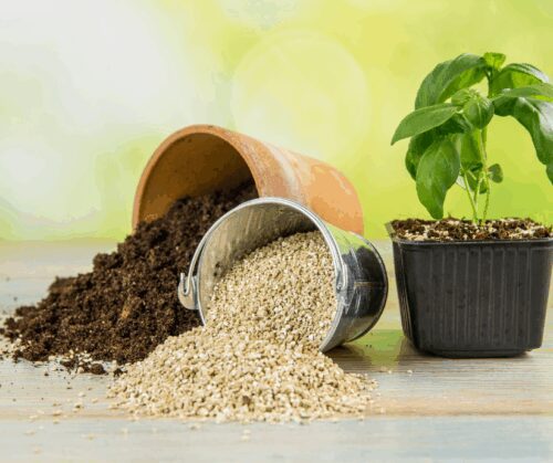 Vermiculite is a great soil amendment for starting seeds. 