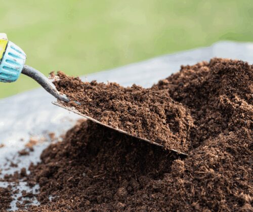 Seed starting soil mix.