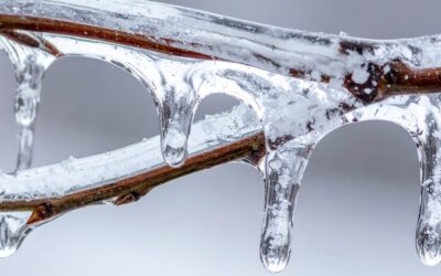 Pruning After a Freeze: What to Prune, Why & How