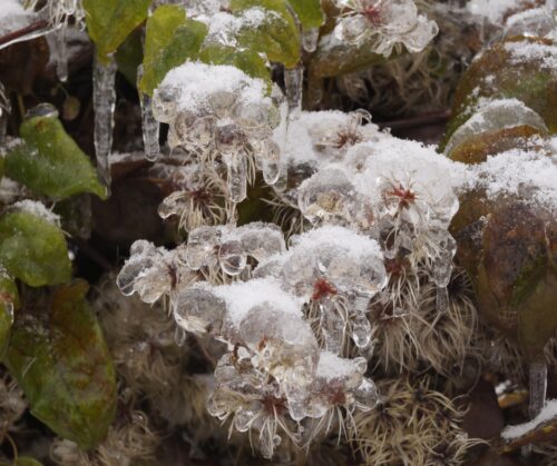 Sometimes it's better to hold off on pruning after a freeze. 
