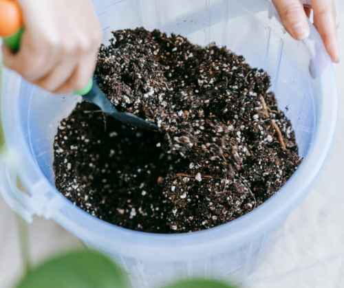 Good potting soil makes a difference when watering houseplants.