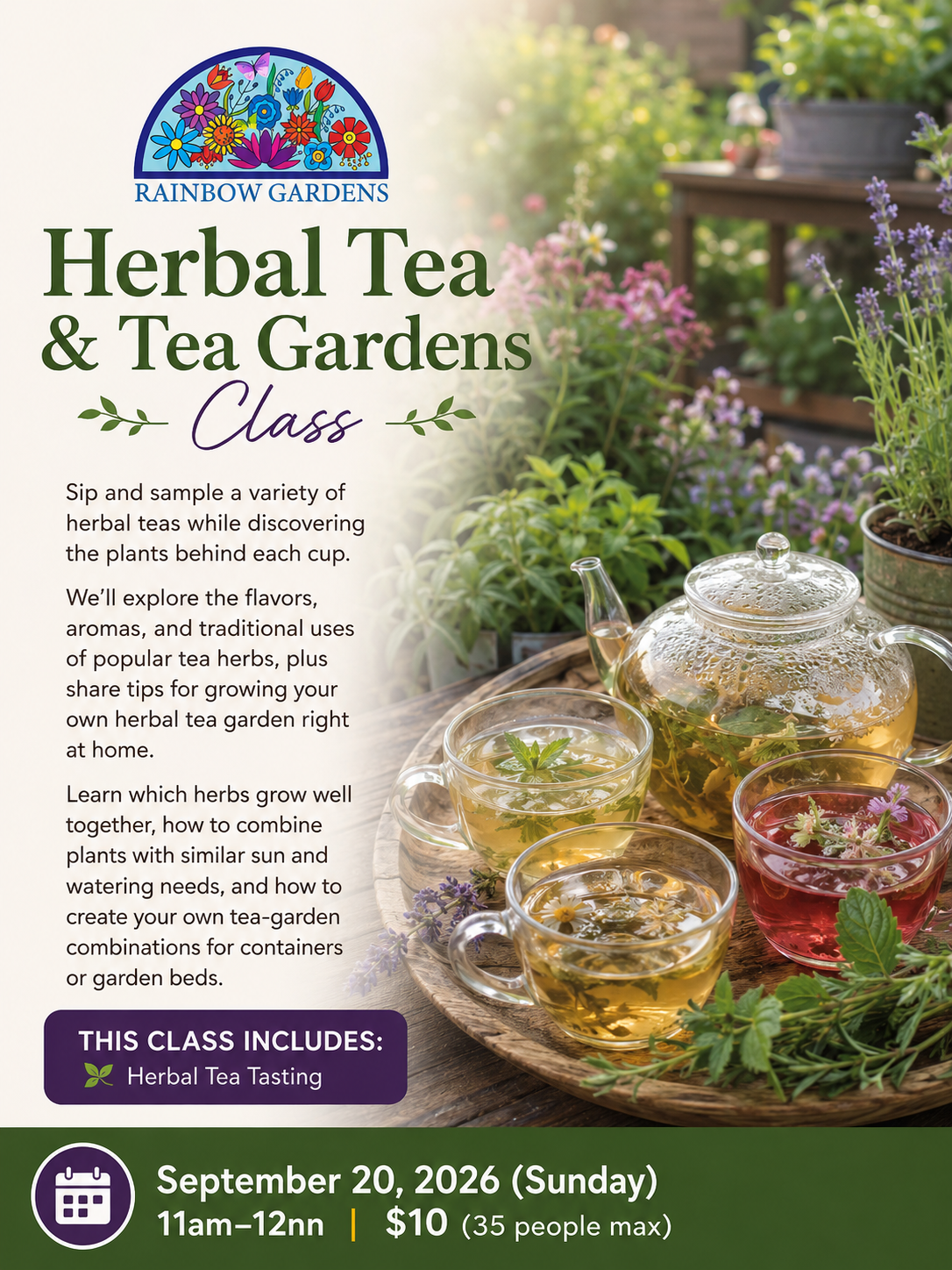 Rainbow Gardens Herbal Tea & Tea Gardens Class featuring herbal tea, fresh herbs, and flowering plants.