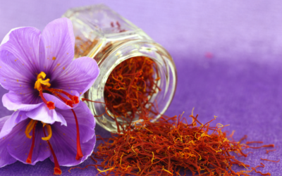 Growing Saffron in San Antonio, Texas: All You Need to Know