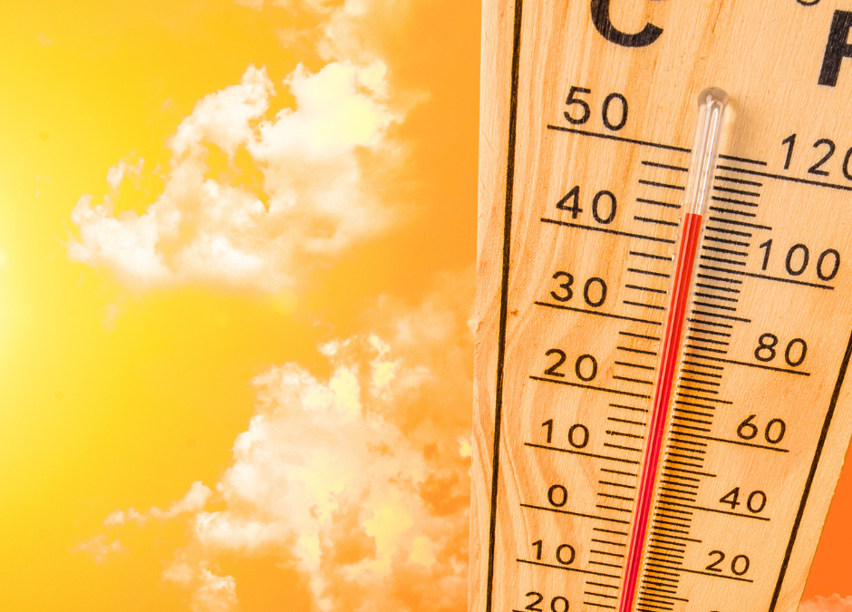 Top 10 Ways to Help Plants Battle Extreme Summer Heat