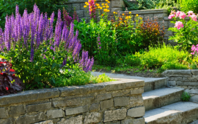 Microclimates in the Landscape: How to Know Where to Plant Plants