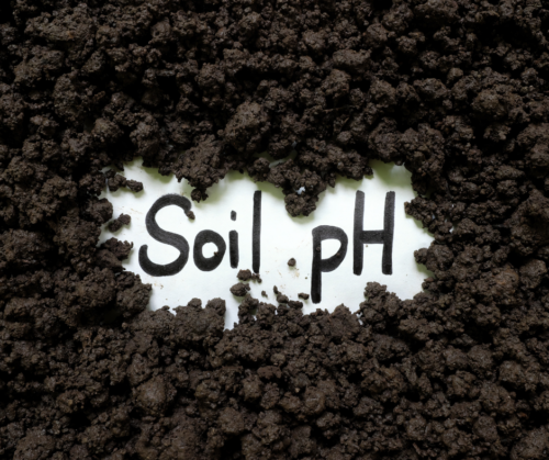soil pH